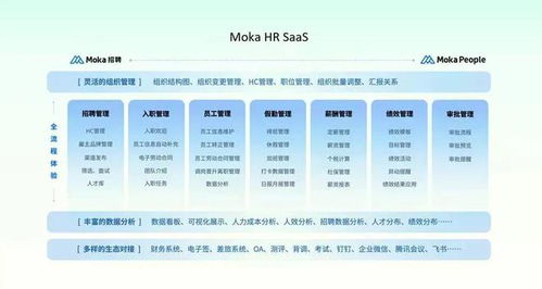 從冰點到燎原 HR SaaS三十余年破局之路